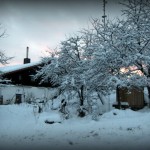1-IMG_0009-007